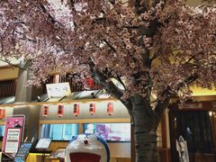 -大江户·温泉洗浴(浑南店)
