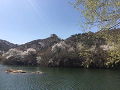 -辛玛王国游乐园