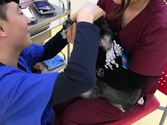 -芭比堂动物医院·犬猫全科·异宠专科(雁塔分院)