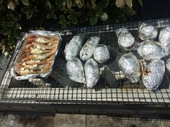 -吴淞炮台湾湿地森林公园烧烤区