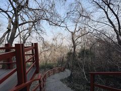 -大蜀山国家森林公园