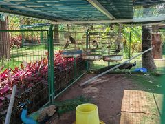 -西双版纳融创皇冠假日度假酒店