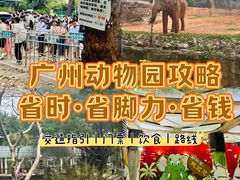 -广州动物园