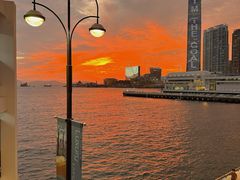 -海港城