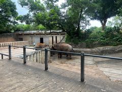-深圳野生动物园