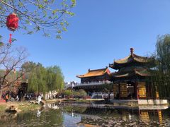 -曹州牡丹园