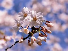 -龙美术馆(西岸馆)