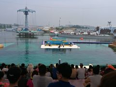 -秦皇岛乐岛海洋王国