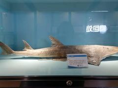 -常州海昌海洋探索馆