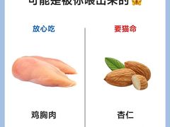 -猫十亿·布偶金渐层·曼基康矮脚猫舍(青年路店)