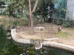 -曲江惠宾苑宾馆(大雁塔大唐不夜城店)