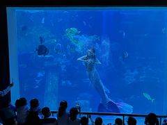 -太平洋海底世界