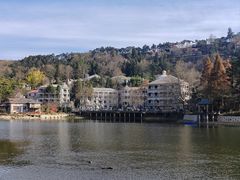 -庐山风景区花径公园