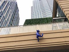 -中海环宇荟