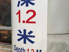 -小海豚国际游泳培训中心(浦东源深体育中心店)