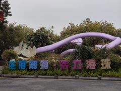 -海珠湖公园