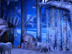 -芜湖新华联大白鲸海洋公园