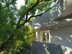 -湖北美术学院(昙华林校区)