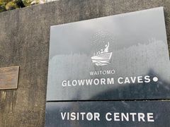 -怀托摩萤火虫洞