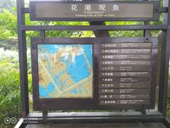 -西湖外事游船(花港观鱼码头)