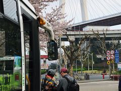 -上海南浦大桥长途旅游客运站