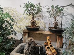 -蘇河湾·新鲁菜·泰山宴(宝龙店)