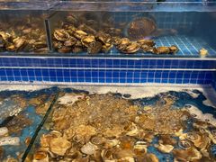 红海螺-乔哥铭洋海鲜自助(皇城恒隆广场店)