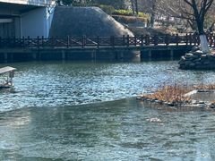 -天鹅湖体育公园