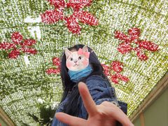-斯普瑞斯奥特莱斯