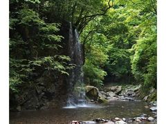-西岭雪山大飞水景区