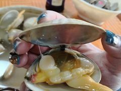 -凤百年大骨鸡饭庄