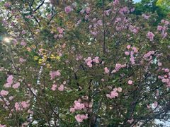 -长沙市青少年宫