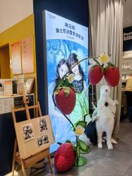 -海马体家庭照相馆(杭州远洋乐堤港店)