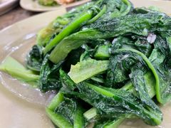 蒜蓉油麦菜-贞姨美食·老字号海鲜大排档