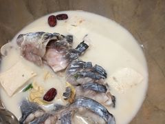 江团鱼-云中鱼蒸汽石锅鱼(川沙百联店)