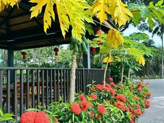 -中国科学院西双版纳热带植物园