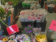 -溪岸路花鸟市场