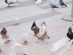 -中航城君尚购物中心