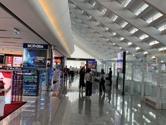 -升恒昌免税商店(桃园国际机场店)