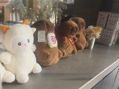 -浅深Cheersum(曹杨店)