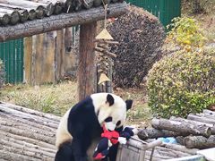 -大连森林动物园