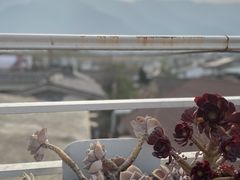 -唐咖精品咖啡(大理古城手冲店)