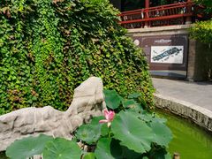 -碑林公园