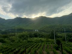 -将军关探险漂流