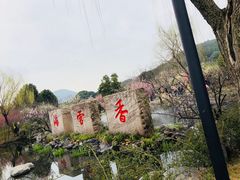 -香雪海