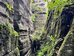 -梭布垭石林景区