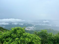 -阳台山森林公园