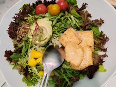 -大树餐厅(红旗街万达店)