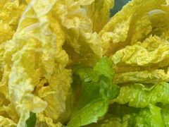 -探窝·竹笙椰子鸡(杨箕店)