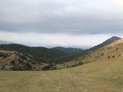-大姆山草场